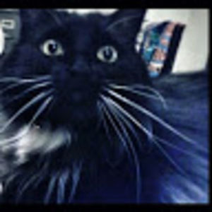 Meet your Posher, Janet